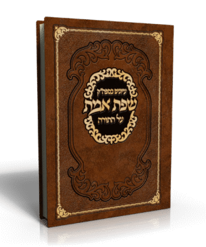 עיונים בספה''ק שפת אמת עה''ת